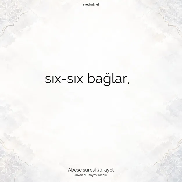 Ayetbul | Kuran Mealleri | Quran | Abese suresi 30. ayet