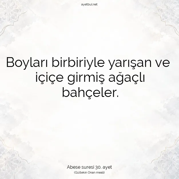 Ayetbul | Kuran Mealleri | Quran | Abese suresi 30. ayet