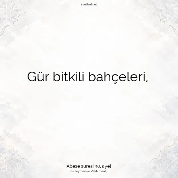 Ayetbul | Kuran Mealleri | Quran | Abese suresi 30. ayet