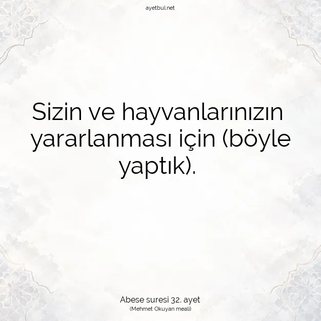 Ayetbul | Kuran Mealleri | Quran | Abese suresi 32. ayet