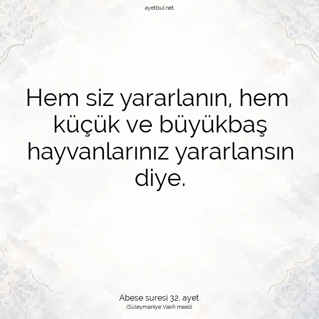 Ayetbul | Kuran Mealleri | Quran | Abese suresi 32. ayet