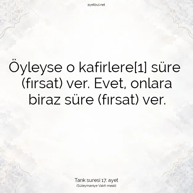 Ayetbul | Kuran Mealleri | Quran | Tarık suresi 17. ayet