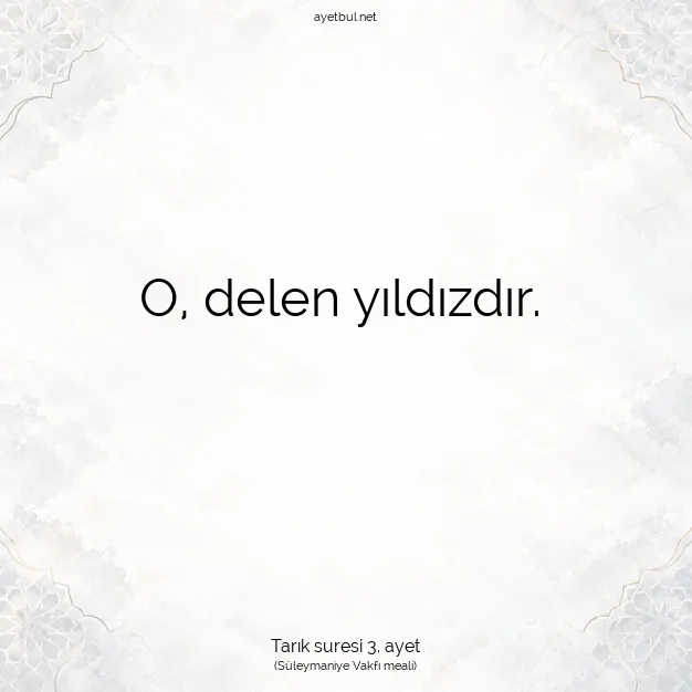 Ayetbul | Kuran Mealleri | Quran | Tarık suresi 3. ayet