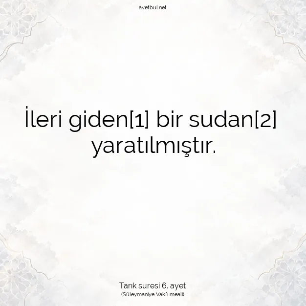 Ayetbul | Kuran Mealleri | Quran | Tarık suresi 6. ayet