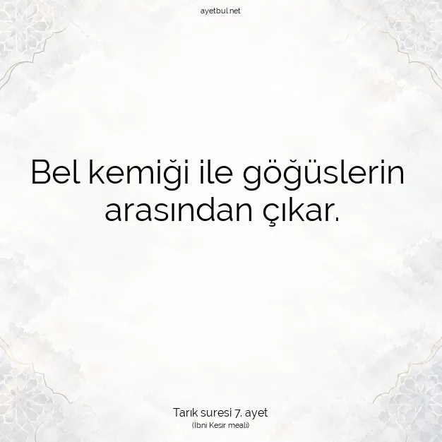 Ayetbul | Kuran Mealleri | Quran | Tarık suresi 7. ayet