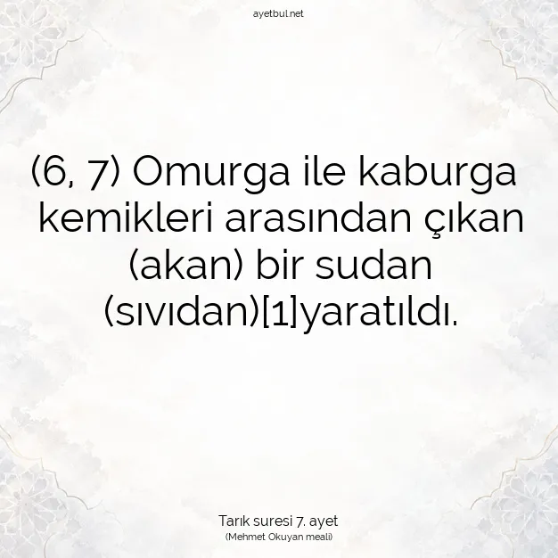 Ayetbul | Kuran Mealleri | Quran | Tarık suresi 7. ayet
