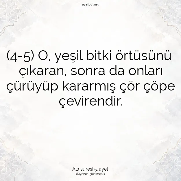 Ayetbul | Kuran Mealleri | Quran | Ala suresi 5. ayet