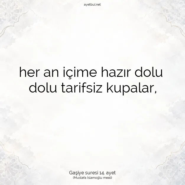 Ayetbul | Kuran Mealleri | Quran | Gaşiye suresi 14. ayet