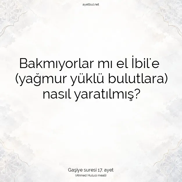 Ayetbul | Kuran Mealleri | Quran | Gaşiye suresi 17. ayet