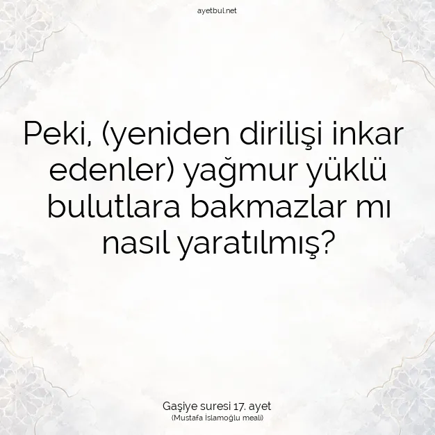 Ayetbul | Kuran Mealleri | Quran | Gaşiye suresi 17. ayet