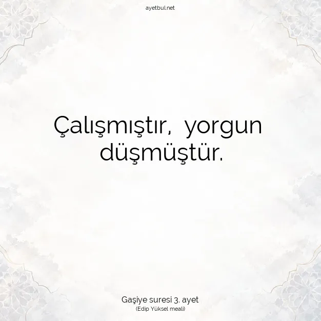 Ayetbul | Kuran Mealleri | Quran | Gaşiye suresi 3. ayet