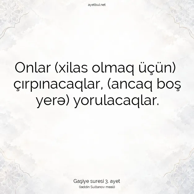 Ayetbul | Kuran Mealleri | Quran | Gaşiye suresi 3. ayet