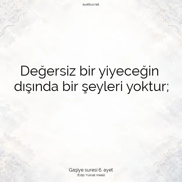 Ayetbul | Kuran Mealleri | Quran | Gaşiye suresi 6. ayet