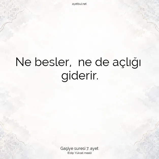 Ayetbul | Kuran Mealleri | Quran | Gaşiye suresi 7. ayet