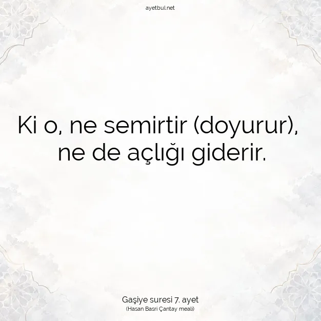 Ayetbul | Kuran Mealleri | Quran | Gaşiye suresi 7. ayet