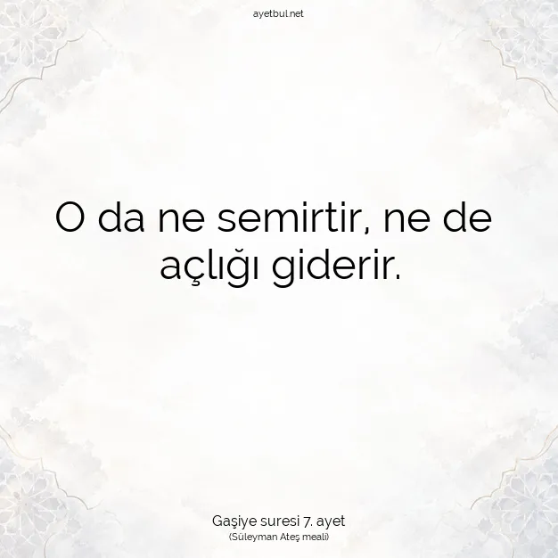 Ayetbul | Kuran Mealleri | Quran | Gaşiye suresi 7. ayet
