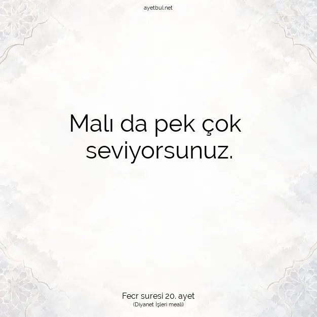 Ayetbul | Kuran Mealleri | Quran | Fecr suresi 20. ayet