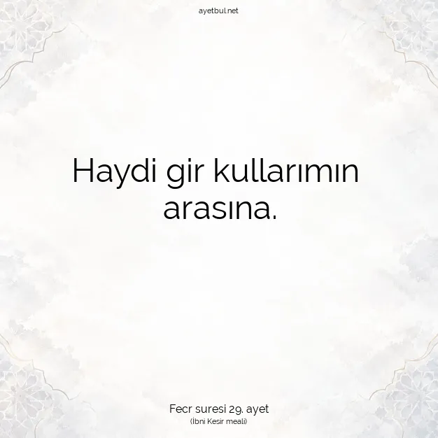 Ayetbul | Kuran Mealleri | Quran | Fecr suresi 29. ayet