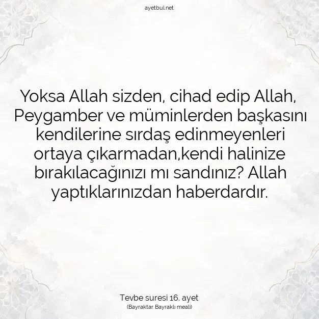 Ayetbul | Kuran Mealleri | Quran | Tevbe suresi 16. ayet