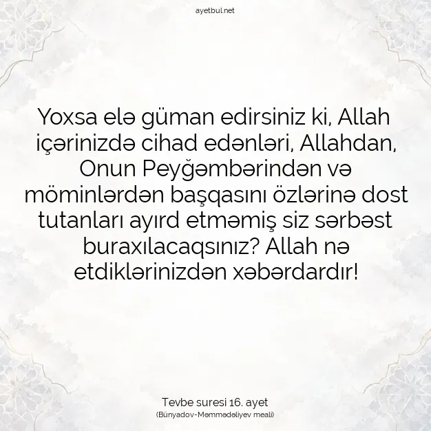 Ayetbul | Kuran Mealleri | Quran | Tevbe suresi 16. ayet
