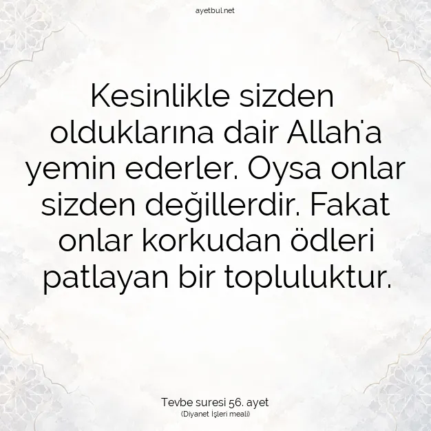 Ayetbul | Kuran Mealleri | Quran | Tevbe suresi 56. ayet