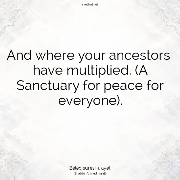 Ayetbul | Kuran Mealleri | Quran | Beled suresi 3. ayet