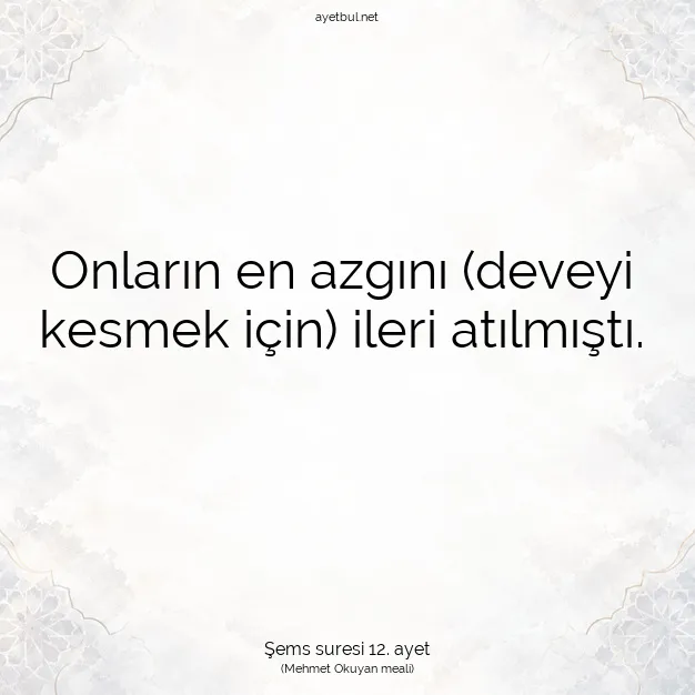 Ayetbul | Kuran Mealleri | Quran | Şems suresi 12. ayet