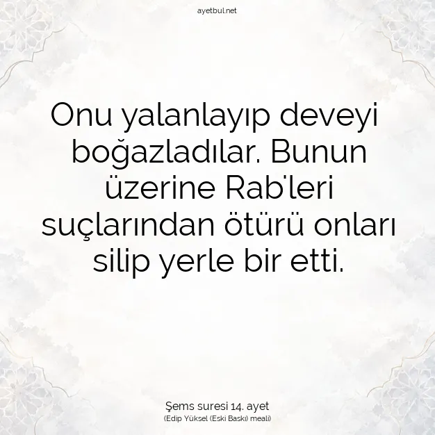 Ayetbul | Kuran Mealleri | Quran | Şems suresi 14. ayet