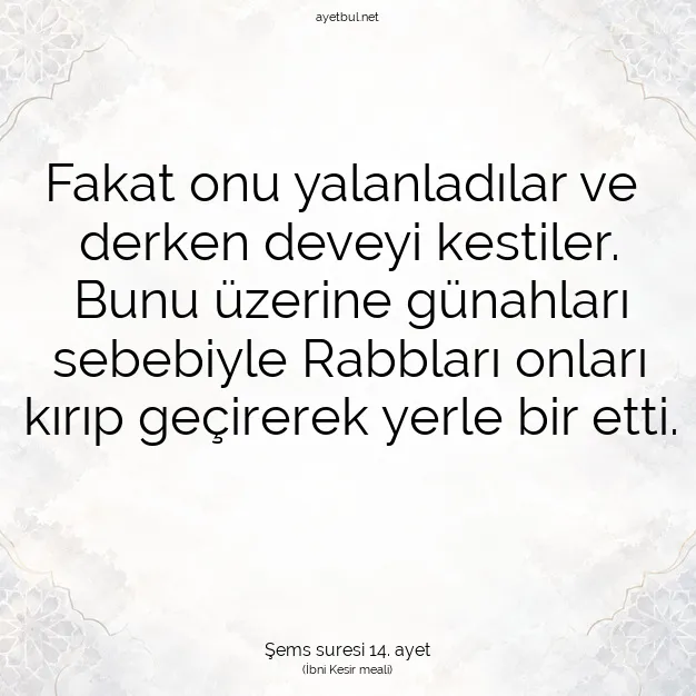 Ayetbul | Kuran Mealleri | Quran | Şems suresi 14. ayet