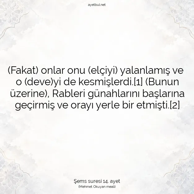 Ayetbul | Kuran Mealleri | Quran | Şems suresi 14. ayet