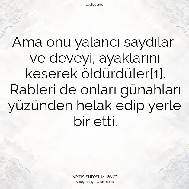 Ayetbul | Kuran Mealleri | Quran | Şems suresi 14. ayet