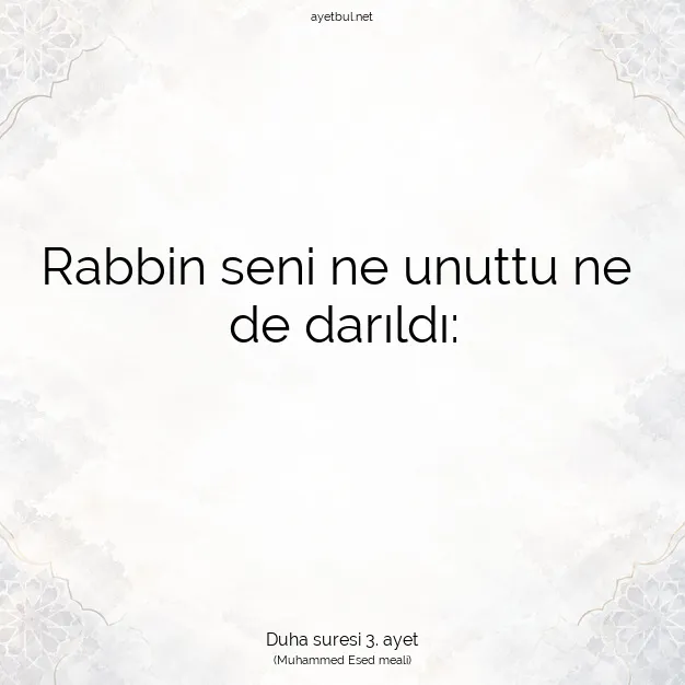 Ayetbul | Kuran Mealleri | Quran | Duha suresi 3. ayet