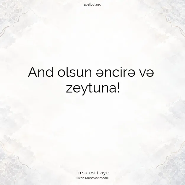 Ayetbul | Kuran Mealleri | Quran | Tin suresi 1. ayet
