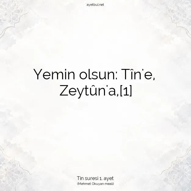 Ayetbul | Kuran Mealleri | Quran | Tin suresi 1. ayet