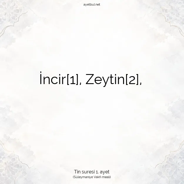 Ayetbul | Kuran Mealleri | Quran | Tin suresi 1. ayet