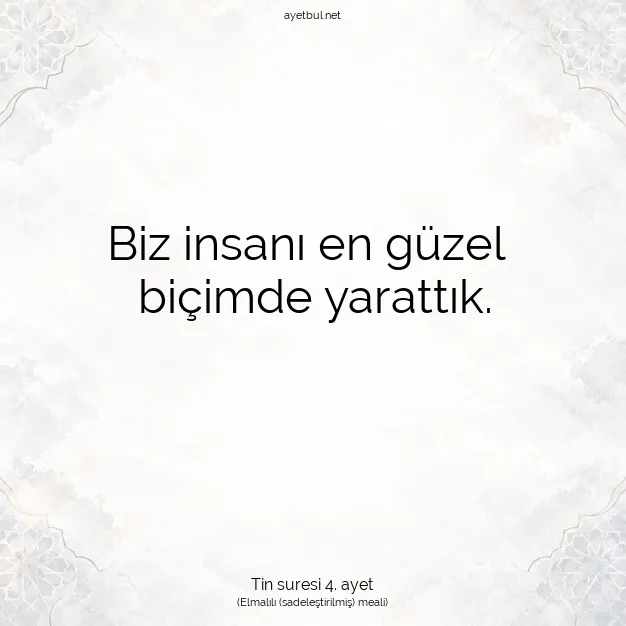 Ayetbul | Kuran Mealleri | Quran | Tin suresi 4. ayet