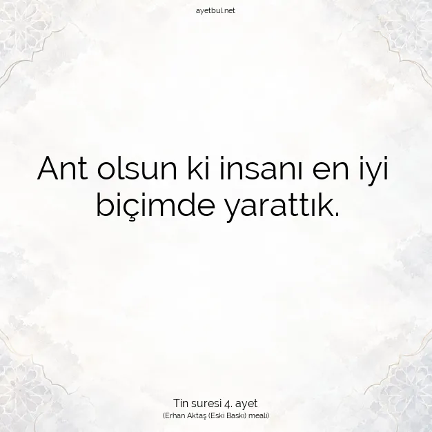 Ayetbul | Kuran Mealleri | Quran | Tin suresi 4. ayet