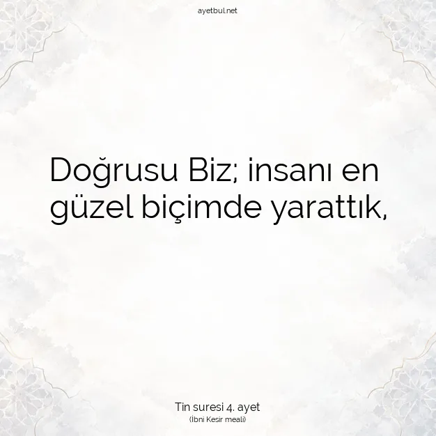 Ayetbul | Kuran Mealleri | Quran | Tin suresi 4. ayet