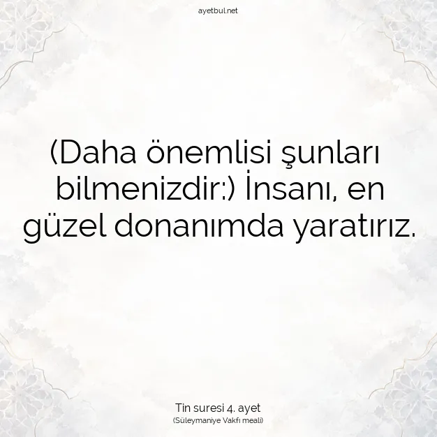 Ayetbul | Kuran Mealleri | Quran | Tin suresi 4. ayet