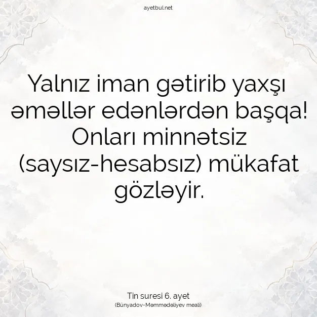 Ayetbul | Kuran Mealleri | Quran | Tin suresi 6. ayet