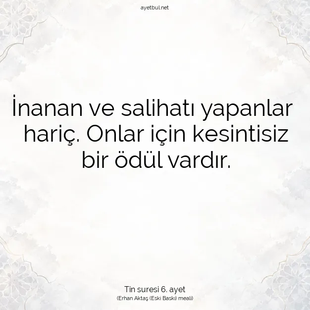 Ayetbul | Kuran Mealleri | Quran | Tin suresi 6. ayet