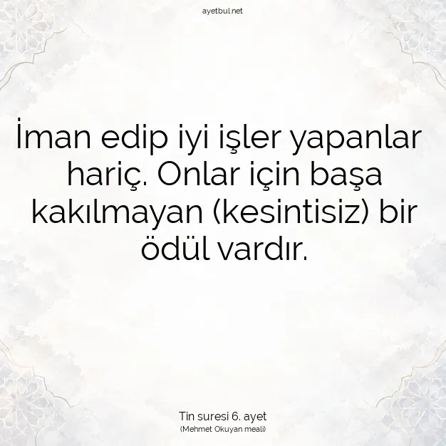 Ayetbul | Kuran Mealleri | Quran | Tin suresi 6. ayet