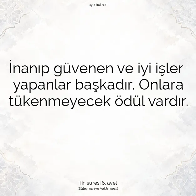 Ayetbul | Kuran Mealleri | Quran | Tin suresi 6. ayet