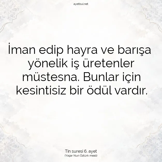 Ayetbul | Kuran Mealleri | Quran | Tin suresi 6. ayet