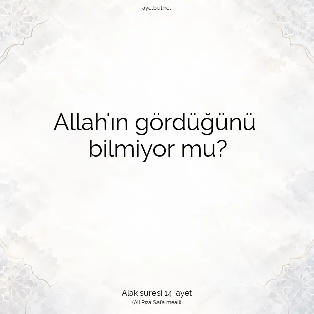 Ayetbul | Kuran Mealleri | Quran | Alak suresi 14. ayet