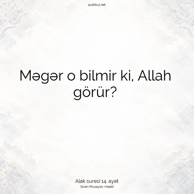 Ayetbul | Kuran Mealleri | Quran | Alak suresi 14. ayet
