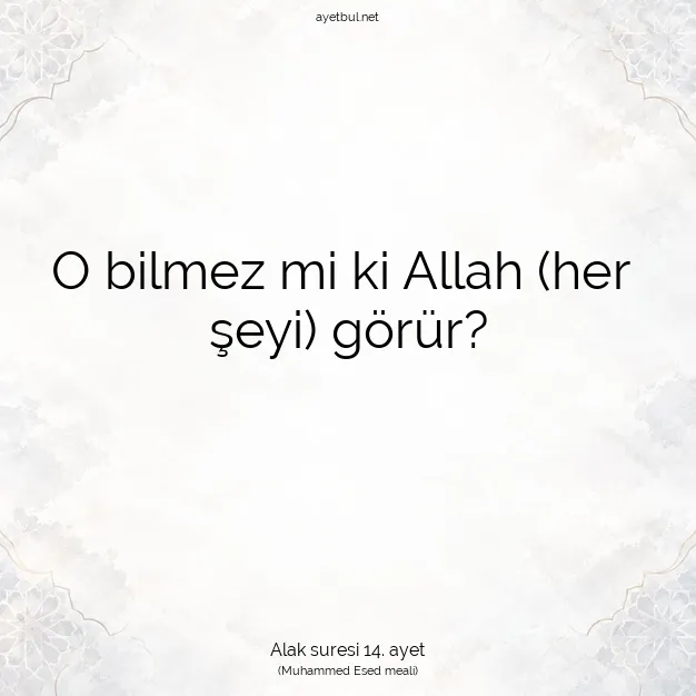 Ayetbul | Kuran Mealleri | Quran | Alak suresi 14. ayet