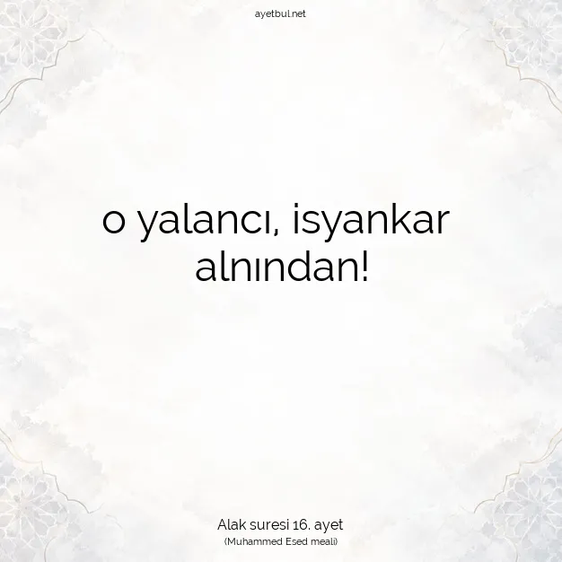 Ayetbul | Kuran Mealleri | Quran | Alak suresi 16. ayet